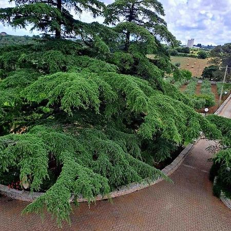 Casina Foggia Dell'Albero Apartman Putignano Kültér fotó