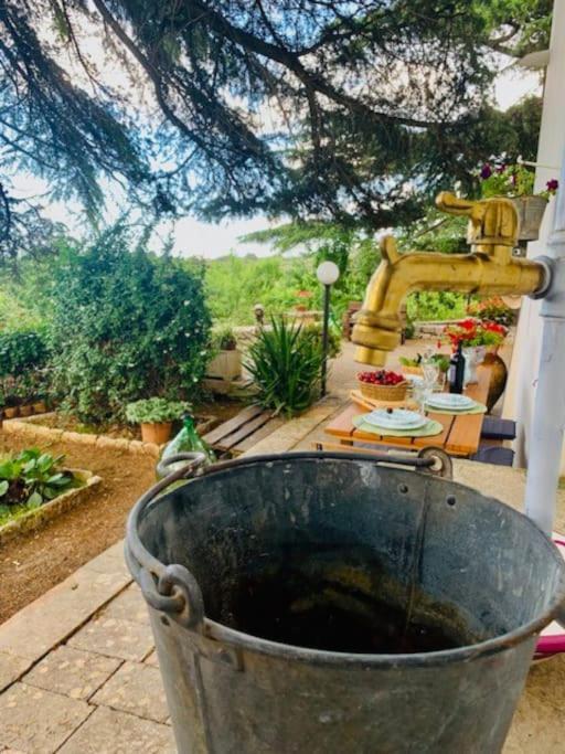 Casina Foggia Dell'Albero Apartman Putignano Kültér fotó